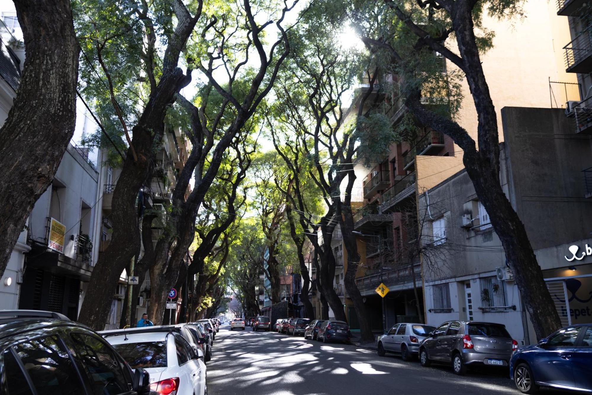 Palermo Soho G4827 - Departamentos Modernos, Amplios Y Luminosos Apartment Buenos Aires Exterior foto